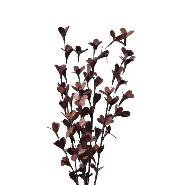 Palm Lily Stick – dried decorative stick in natural palm shape, red color by LeafnDeor Palm Lily Stick – dried decorative stick in natural palm shape, red color by LeafnDeor