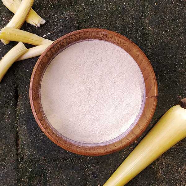 Palmyra Sprouts Flour New