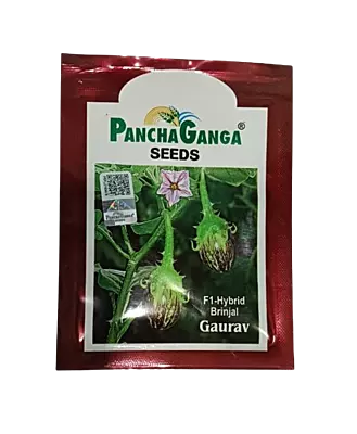 Panchaganga Hybrid Brinjal Gaurav F1 - 10GM