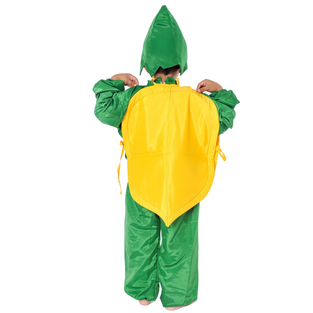 Papaya Fancy Dress Fruit Costume Papaya Fancy Dress Fruit Costume