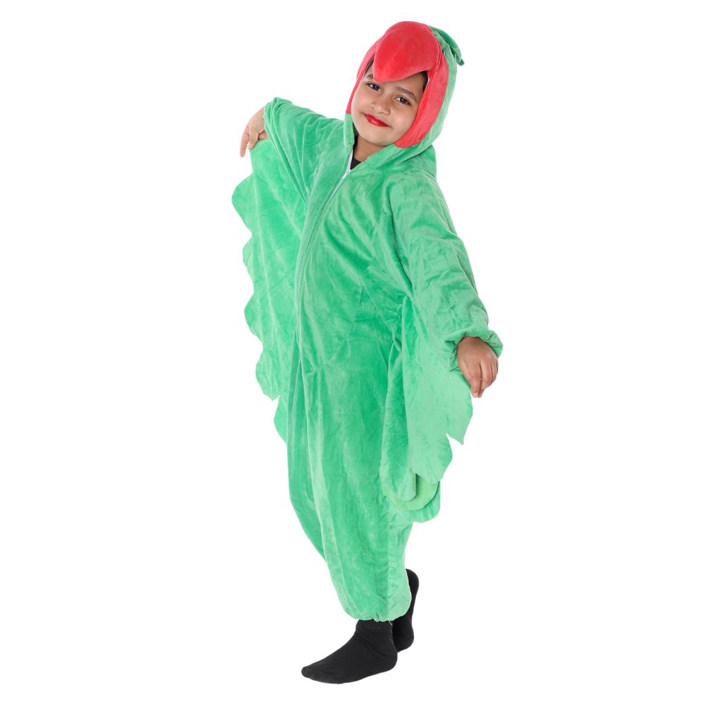Parrot Fancy Dress Costume Parrot Fancy Dress Costume