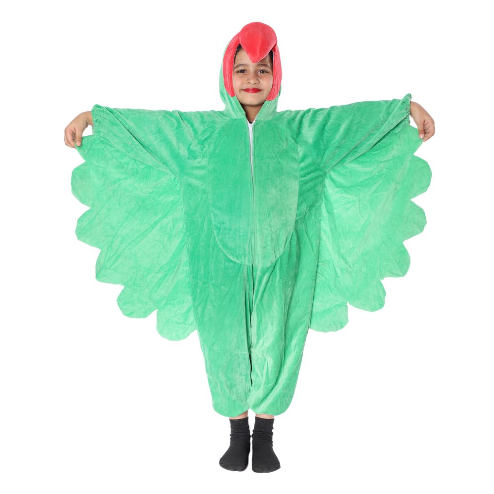 Parrot Fancy Dress Costume
