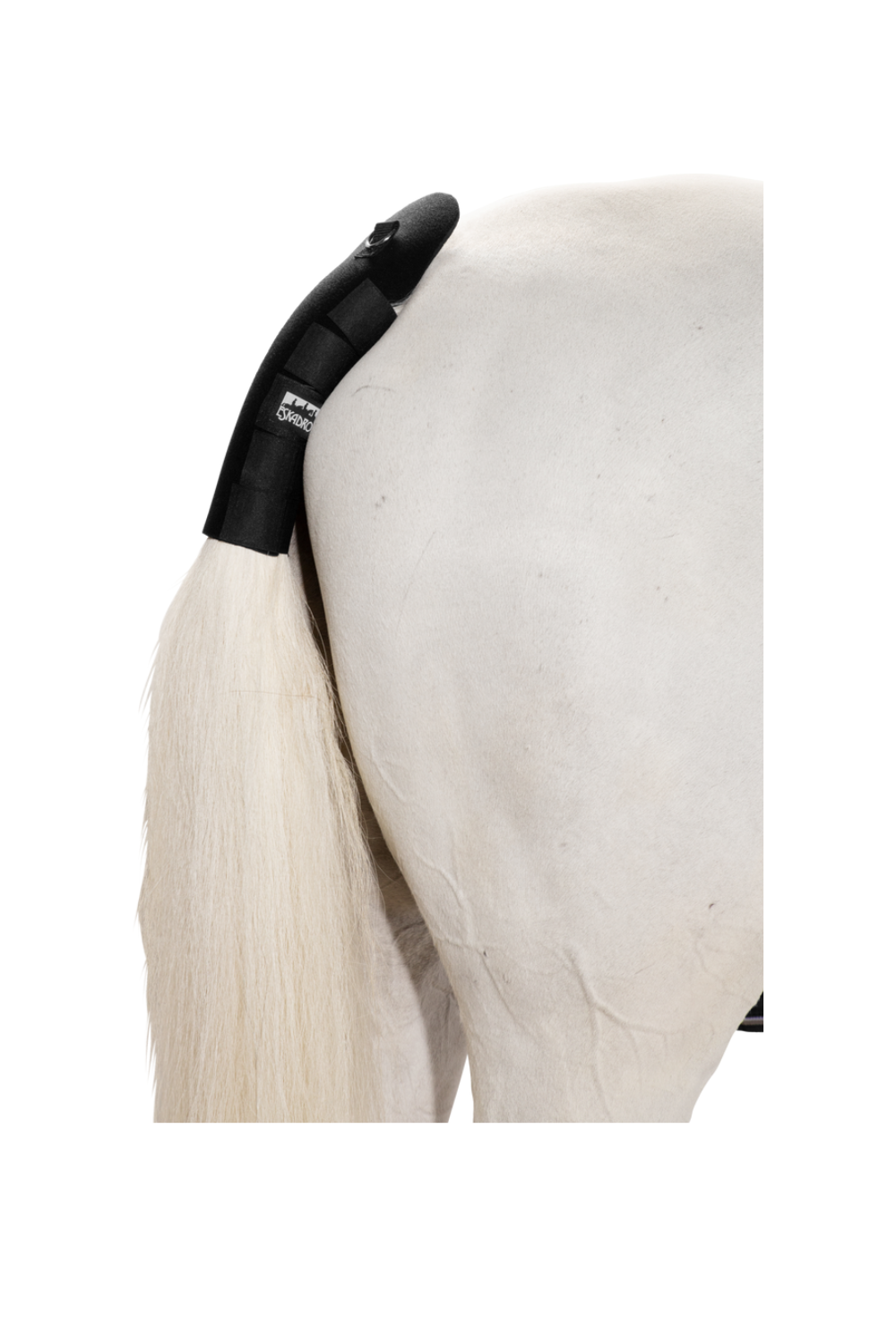 Eskadron Tail Guard Neo Tail Basics