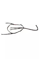 CWD Breastplate Adjustable Bridge