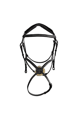 CWD Figure 8 Bridle