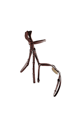 CWD Figure 8 Bridle