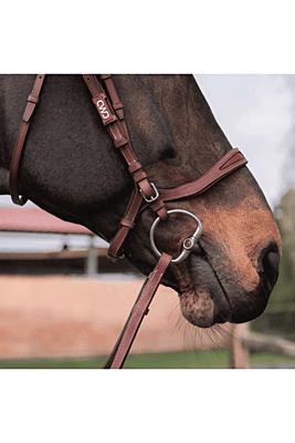 CWD Flex Motion Bridle