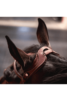 CWD Flex Motion Bridle