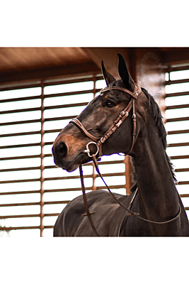 CWD Flex Motion Bridle