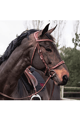 CWD Flex Motion Bridle