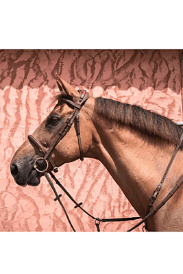 CWD French Nose Band Bridle