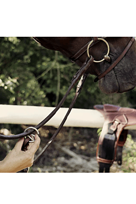 CWD Raised Elastic Martingale Attachment
