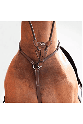 CWD Raised Elastic Martingale Attachment