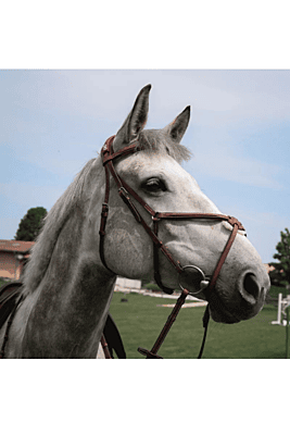 CWD Figure 8 Bridle