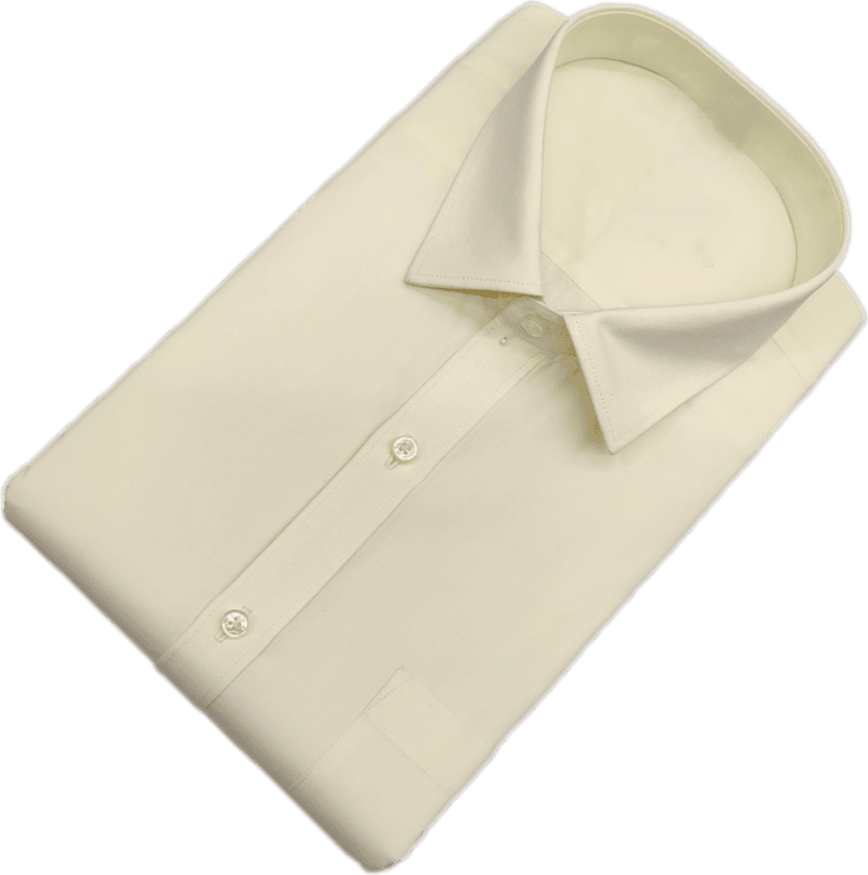 Formal Cotton Mix Plain Shirt