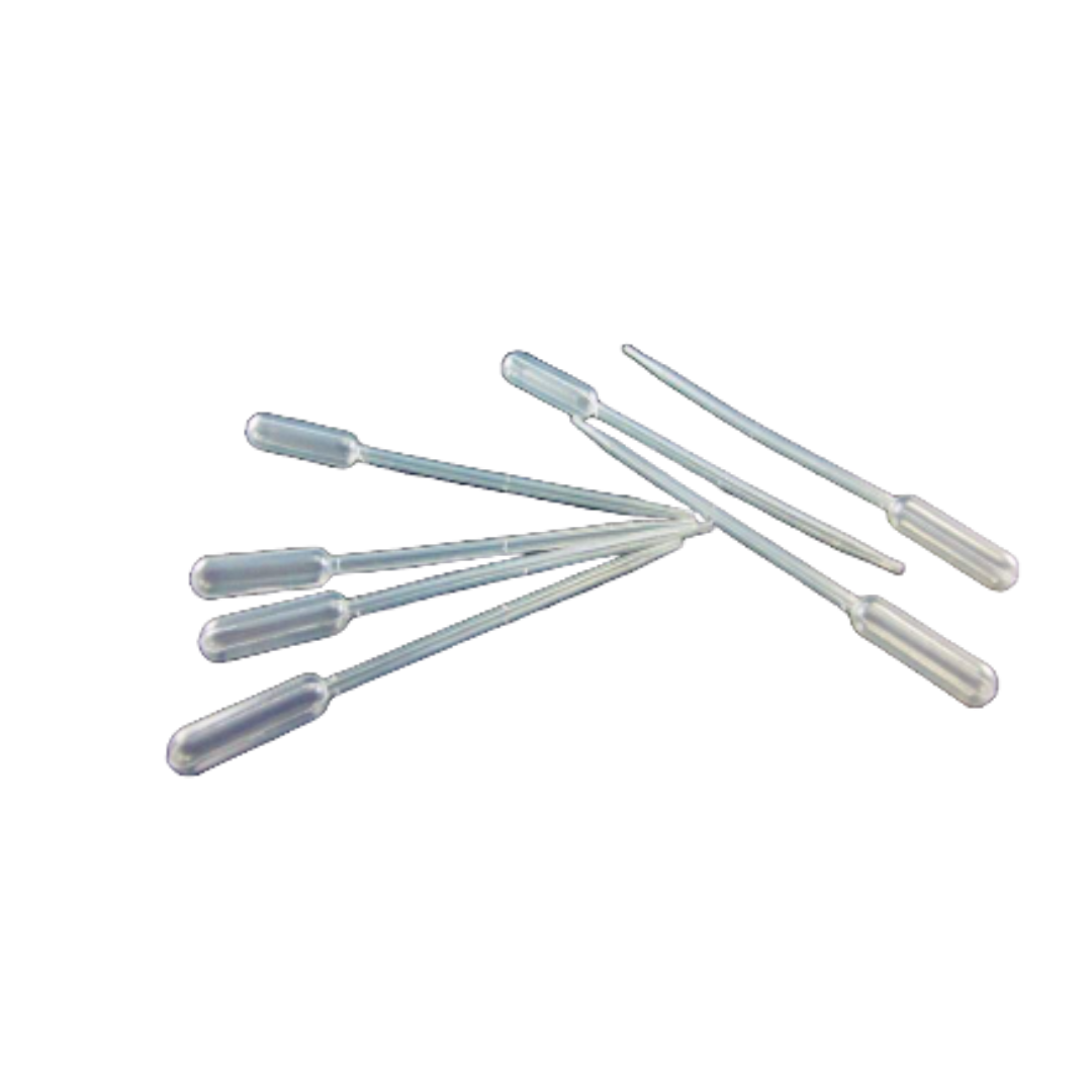 Pasteur - Transfer Pipette