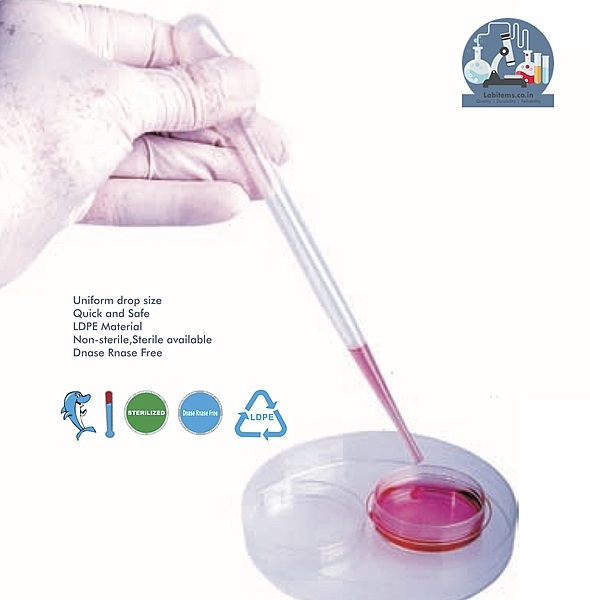 Pasteur Pipettes 3ml, I/W, ETO Sterile- LI-PP10003I (500 pcs)