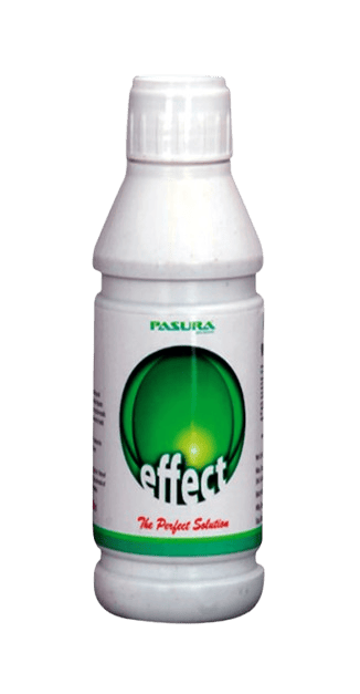 Effect by Pasura Crop Care