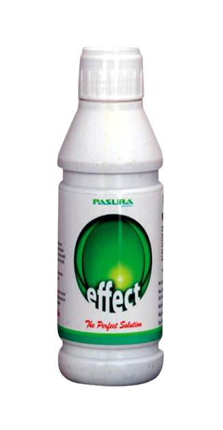 Effect by Pasura Crop Care