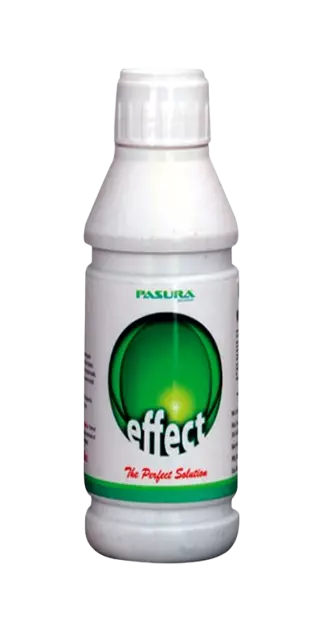 Effect by Pasura Crop Care