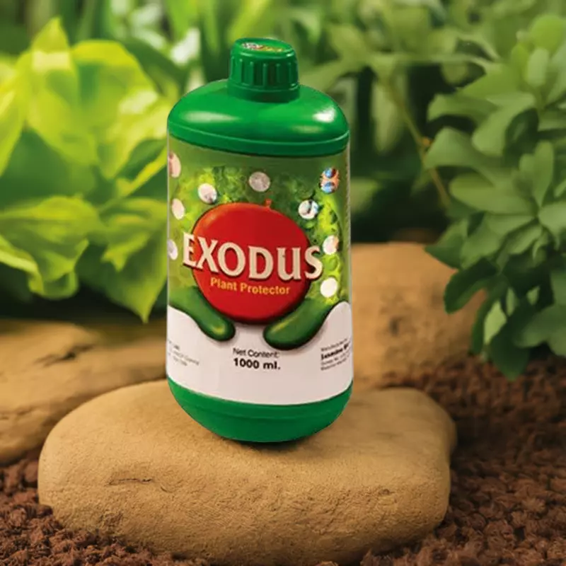 Pasura Exodus