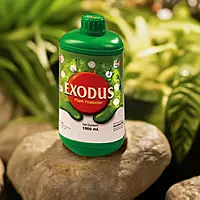 Pasura Exodus