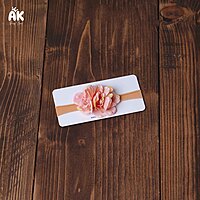 Blossom Bloom Headband