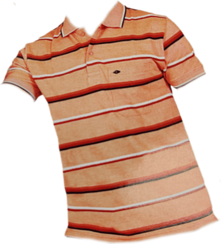 Polo Stripes Tshirt