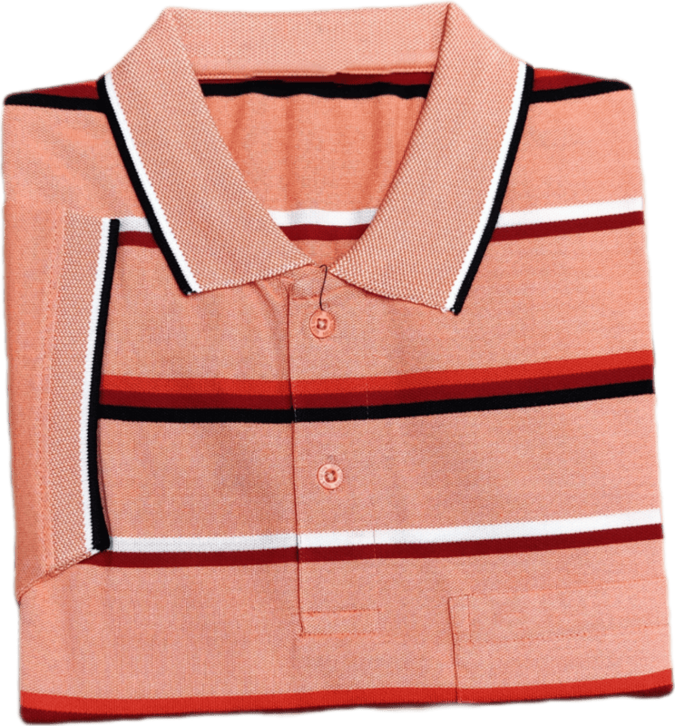 Polo Stripes Tshirt