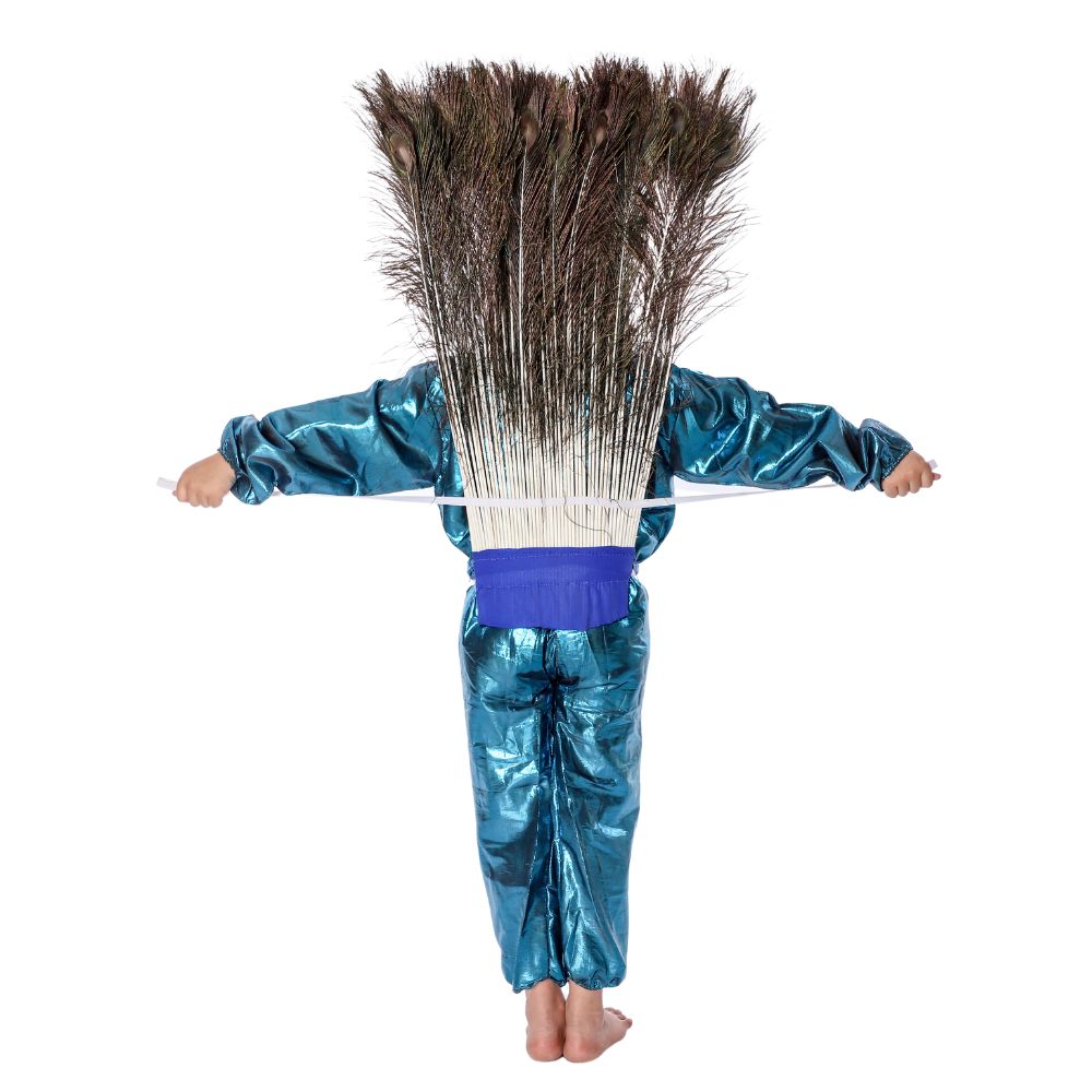 Peacock Fancy Dress Costumes Peacock Fancy Dress Costumes