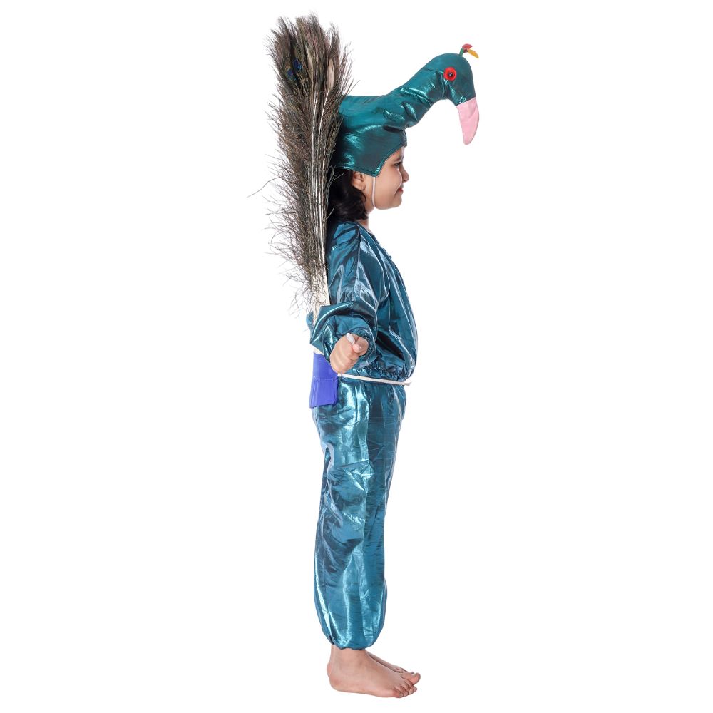 Peacock Fancy Dress Costumes Peacock Fancy Dress Costumes
