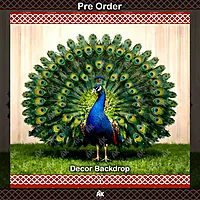 Peacock Majesty