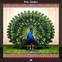 Peacock Majesty