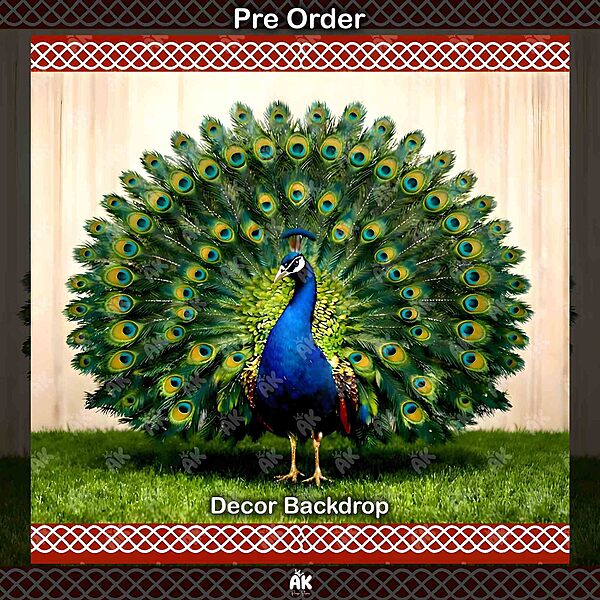 Peacock Majesty