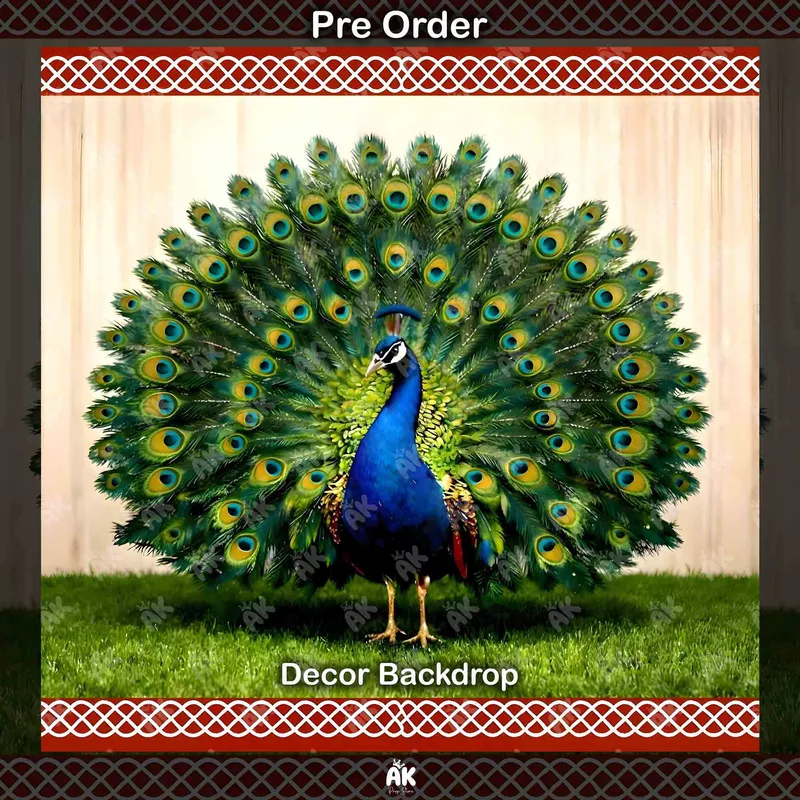 Peacock Majesty