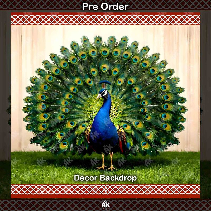 Peacock Majesty