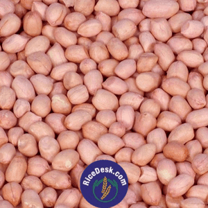 Peanuts | Phalli Peanuts | Phalli