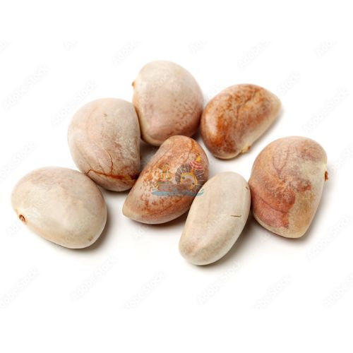 Jackfruit Seeds | Bole | Pelathari