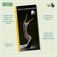 Early Bird Pocket Guides - Bulk Purchase of 50 Early Bird Pocket Guides - Bulk Purchase of 50