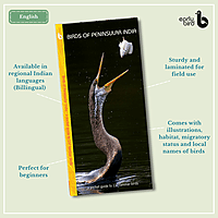 Early Bird Pocket Guides