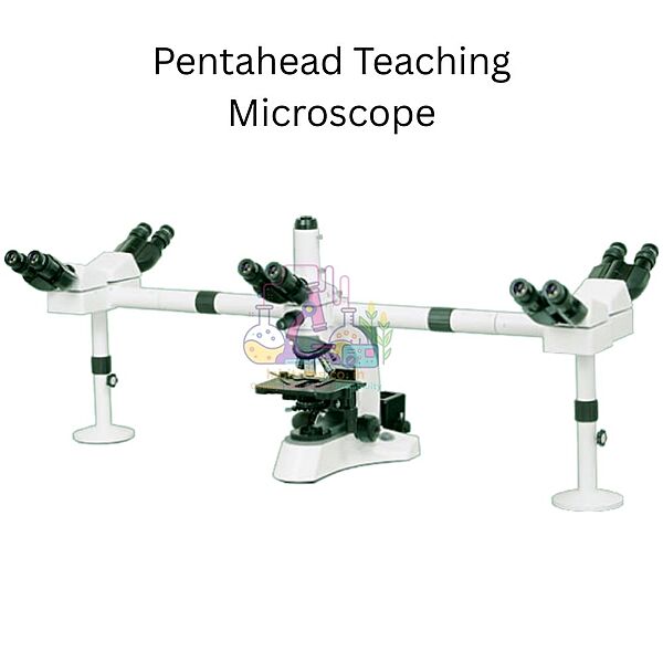 Pentahead Teaching Microscope - MICRON