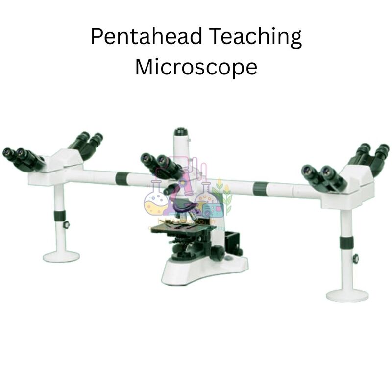 Pentahead Teaching Microscope - MICRON