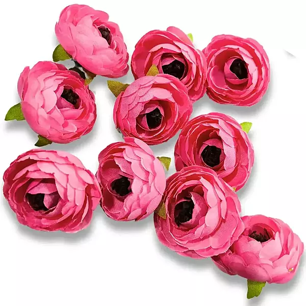 Peony Flower Pink