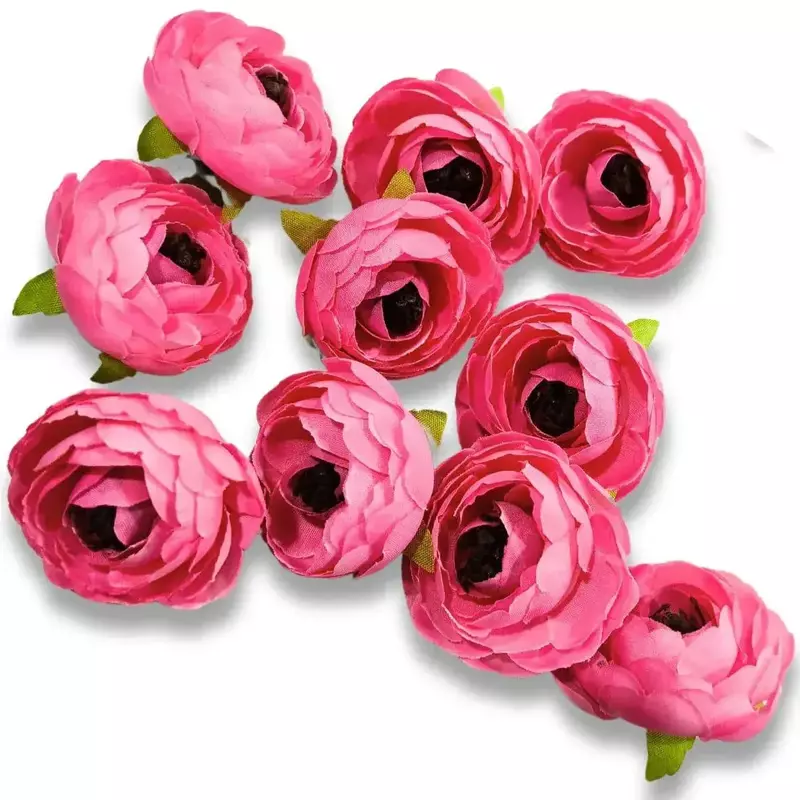 Peony Flower Pink