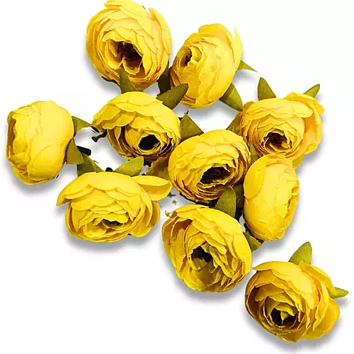 Peony Flower Yellow