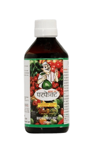 Perfekt Herbal Crop Enhancer by Global Green Agrinova