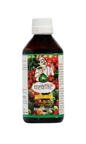 Perfekt Herbal Crop Enhancer by Global Green Agrinova