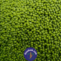 Green Moong Round | Pesarlu Green Moong Round | Pesarlu