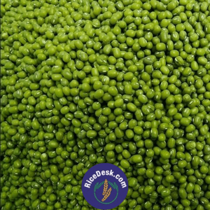 Green Moong Round | Pesarlu Green Moong Round | Pesarlu