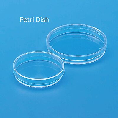 Petri Dish - PL